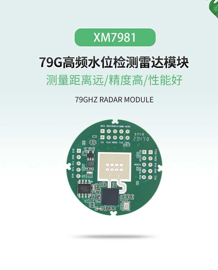 XM7981